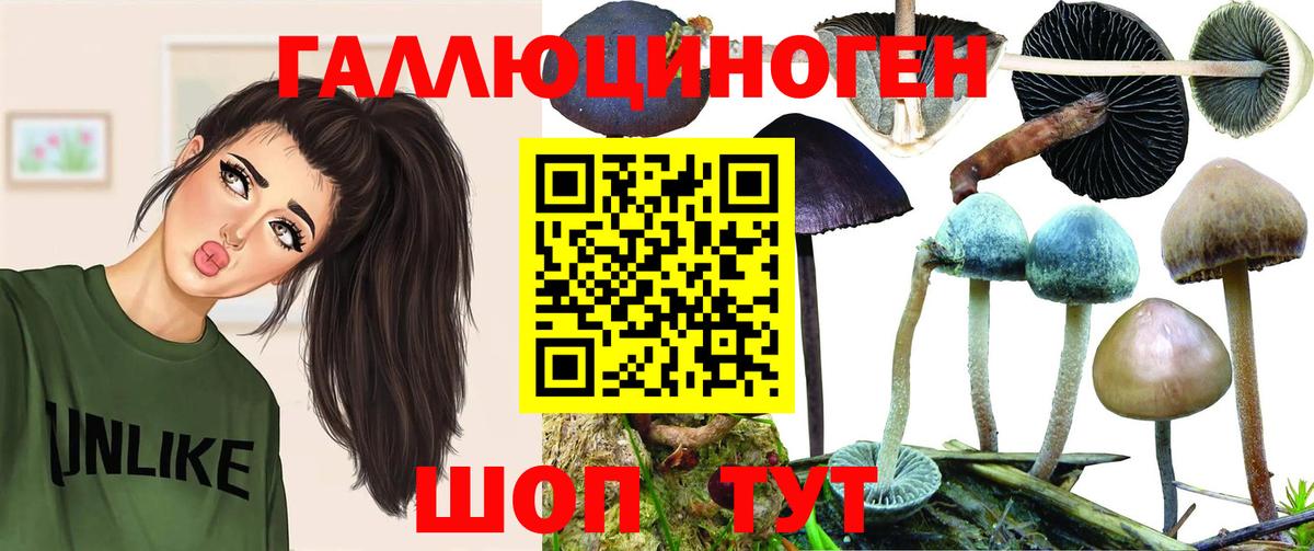 Отрадное  Галлюциногенные грибы Cubensis  Вход с VPN 
